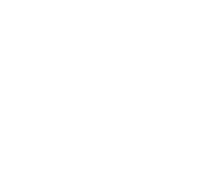 Ferfrans USA logo