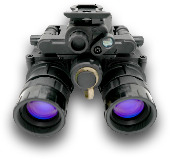 ANVG features